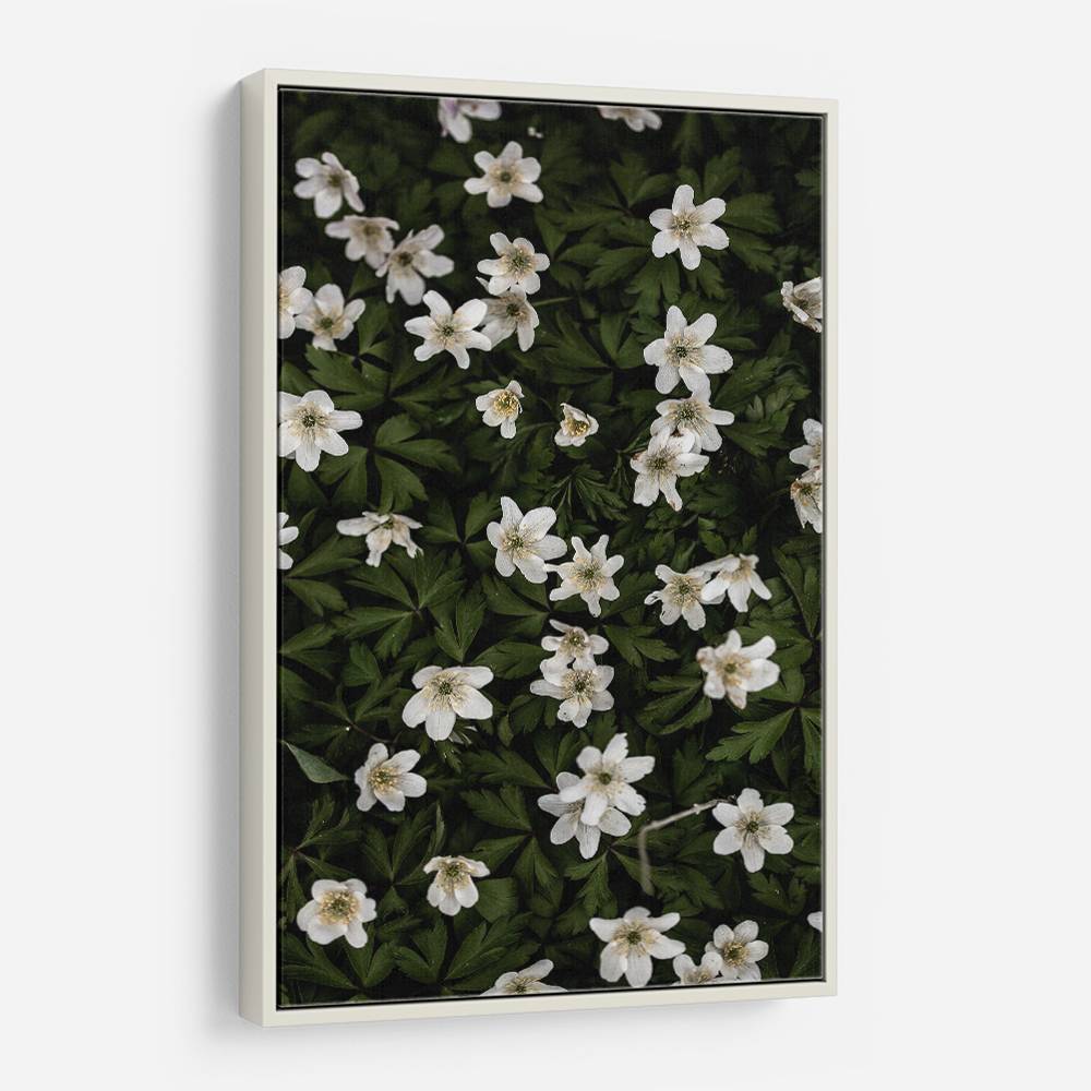 Tiny Flowers 2 Wall Art