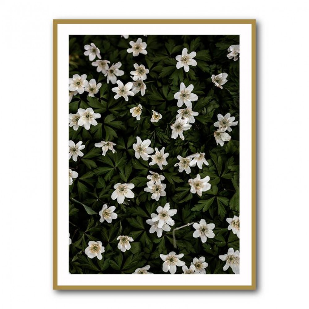 Tiny Flowers 2 Wall Art