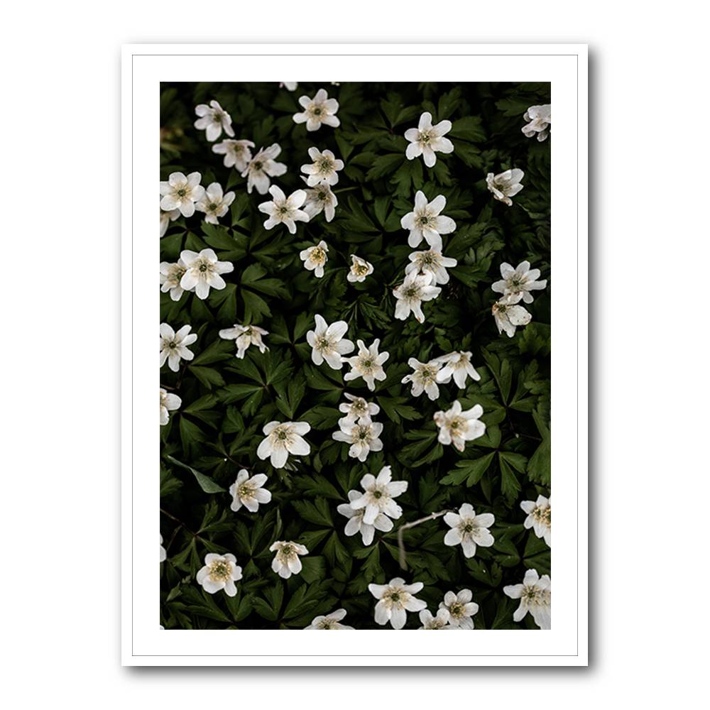 Tiny Flowers 2 Wall Art