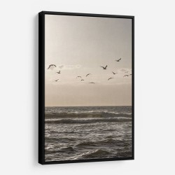 Birds And The Sea 3 Wall Art