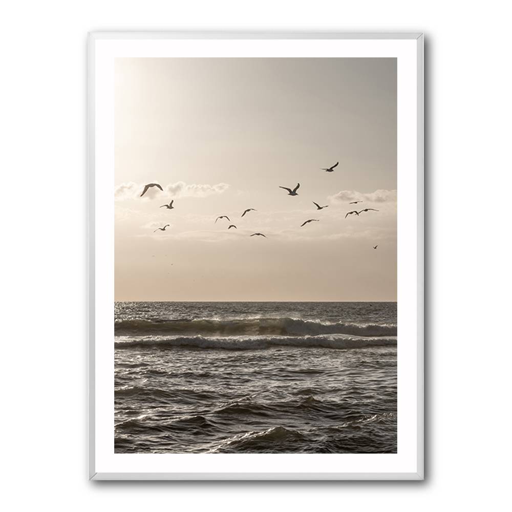 Birds And The Sea 3 Wall Art