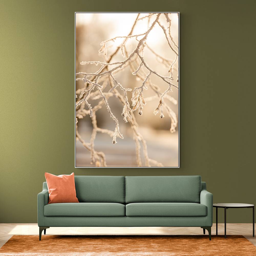 Frosty Morning 6 Wall Art