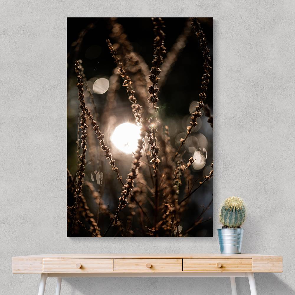 Natural Sparkle 2 Wall Art