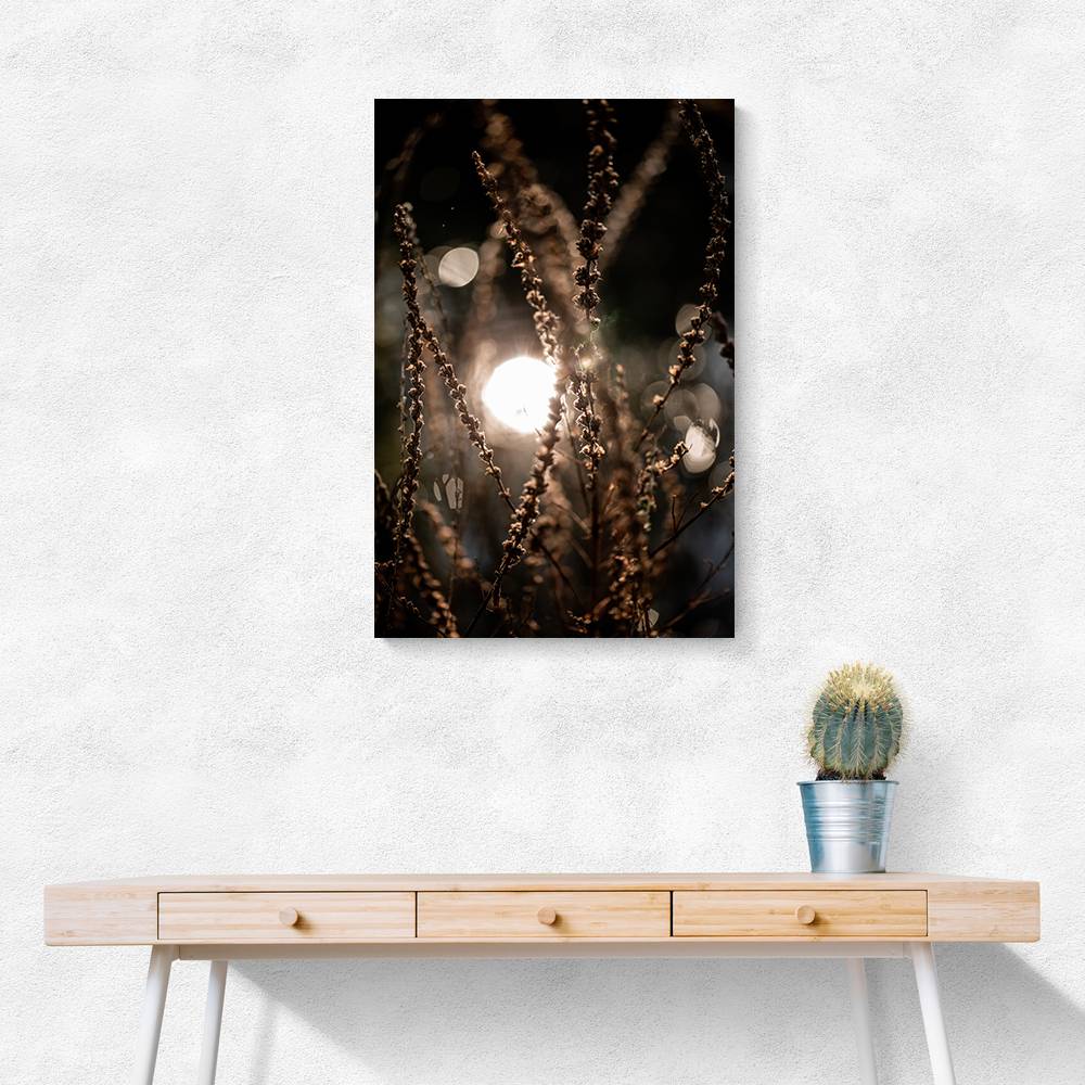 Natural Sparkle 2 Wall Art