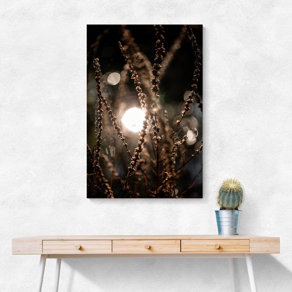 Natural Sparkle 2 Wall Art