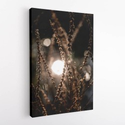 Natural Sparkle 2 Wall Art