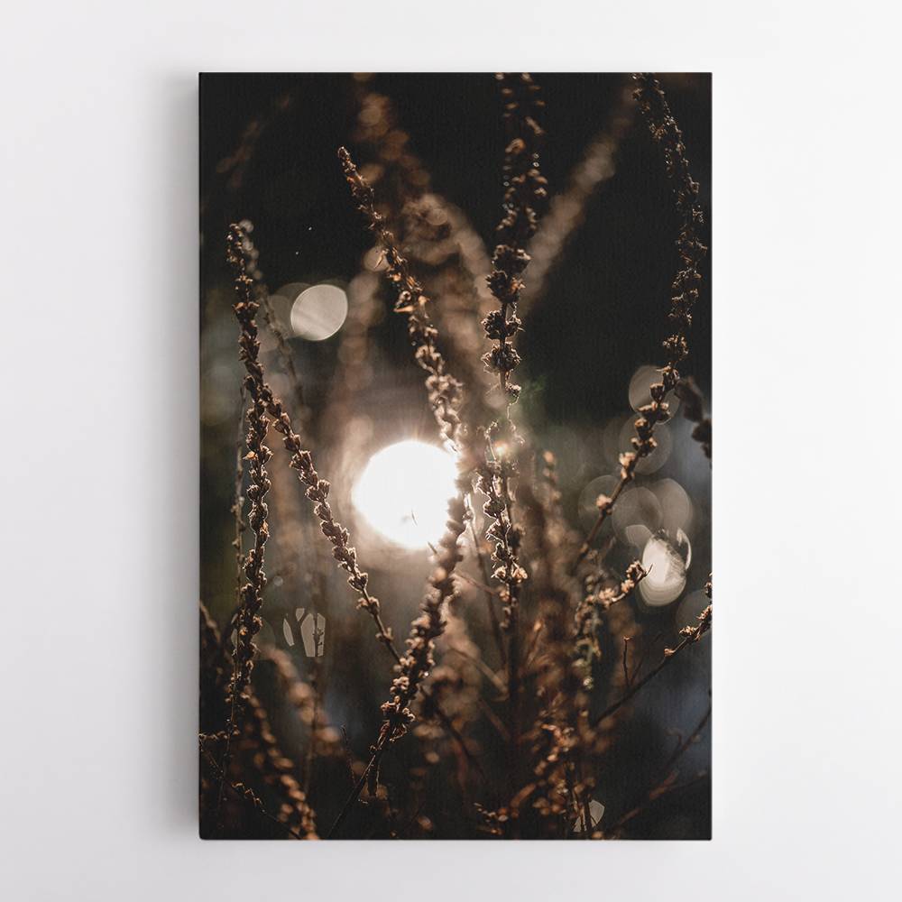 Natural Sparkle 2 Wall Art