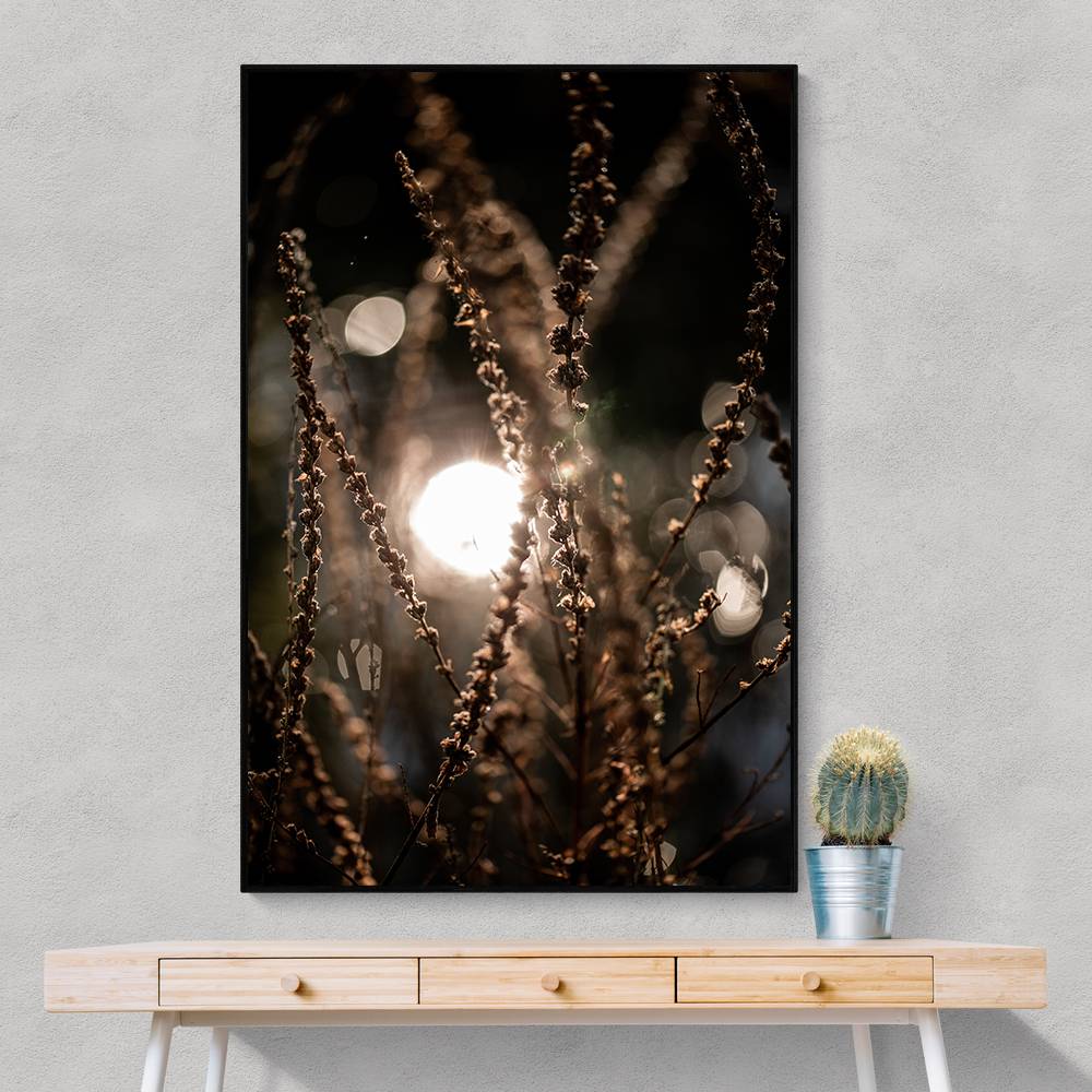 Natural Sparkle 2 Wall Art