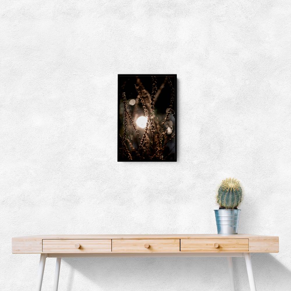 Natural Sparkle 2 Wall Art