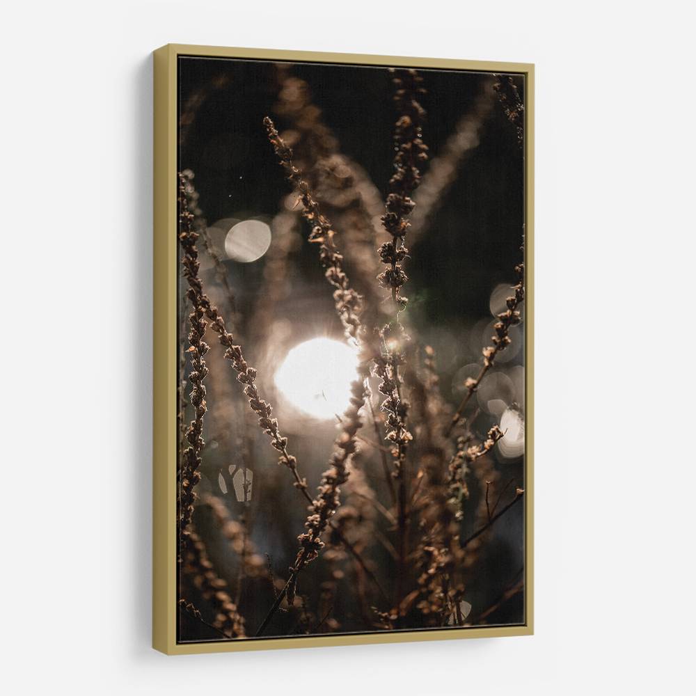 Natural Sparkle 2 Wall Art