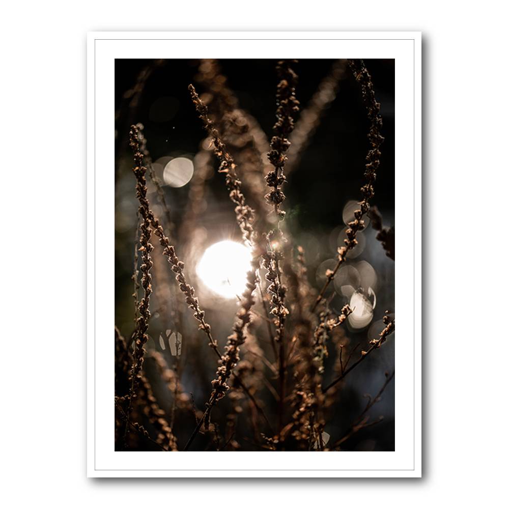 Natural Sparkle 2 Wall Art