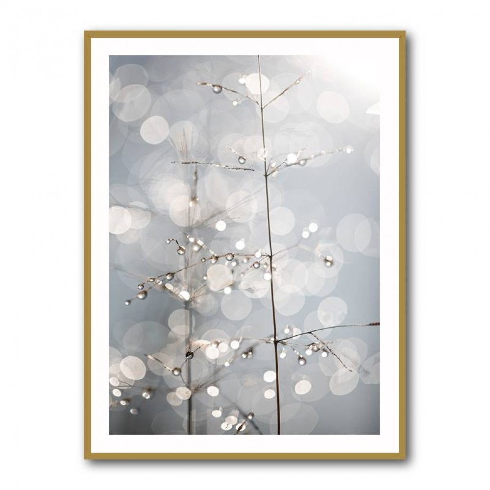 Natural Sparkle Wall Art