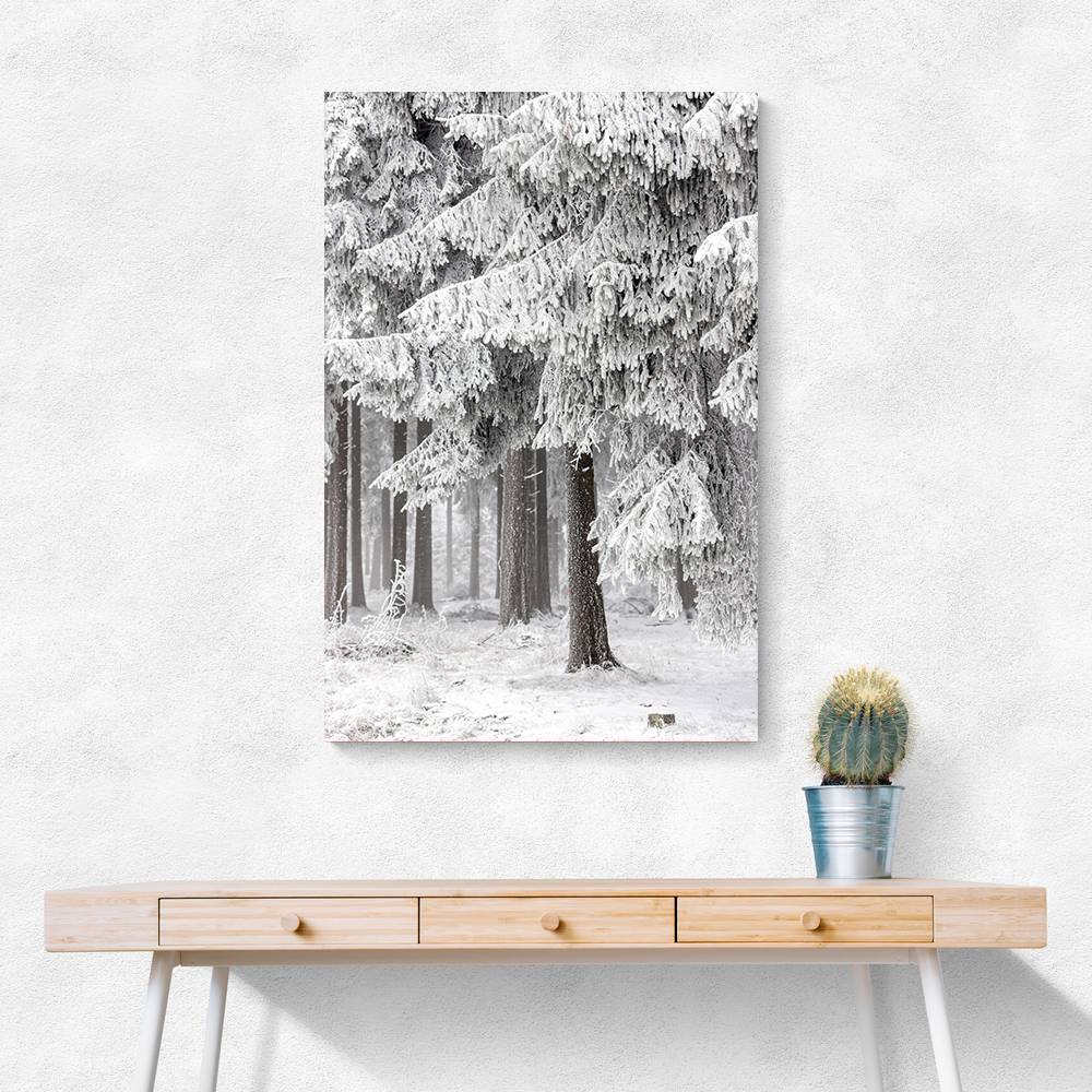 Winter Forest 2 Wall Art