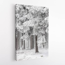 Winter Forest 2 Wall Art