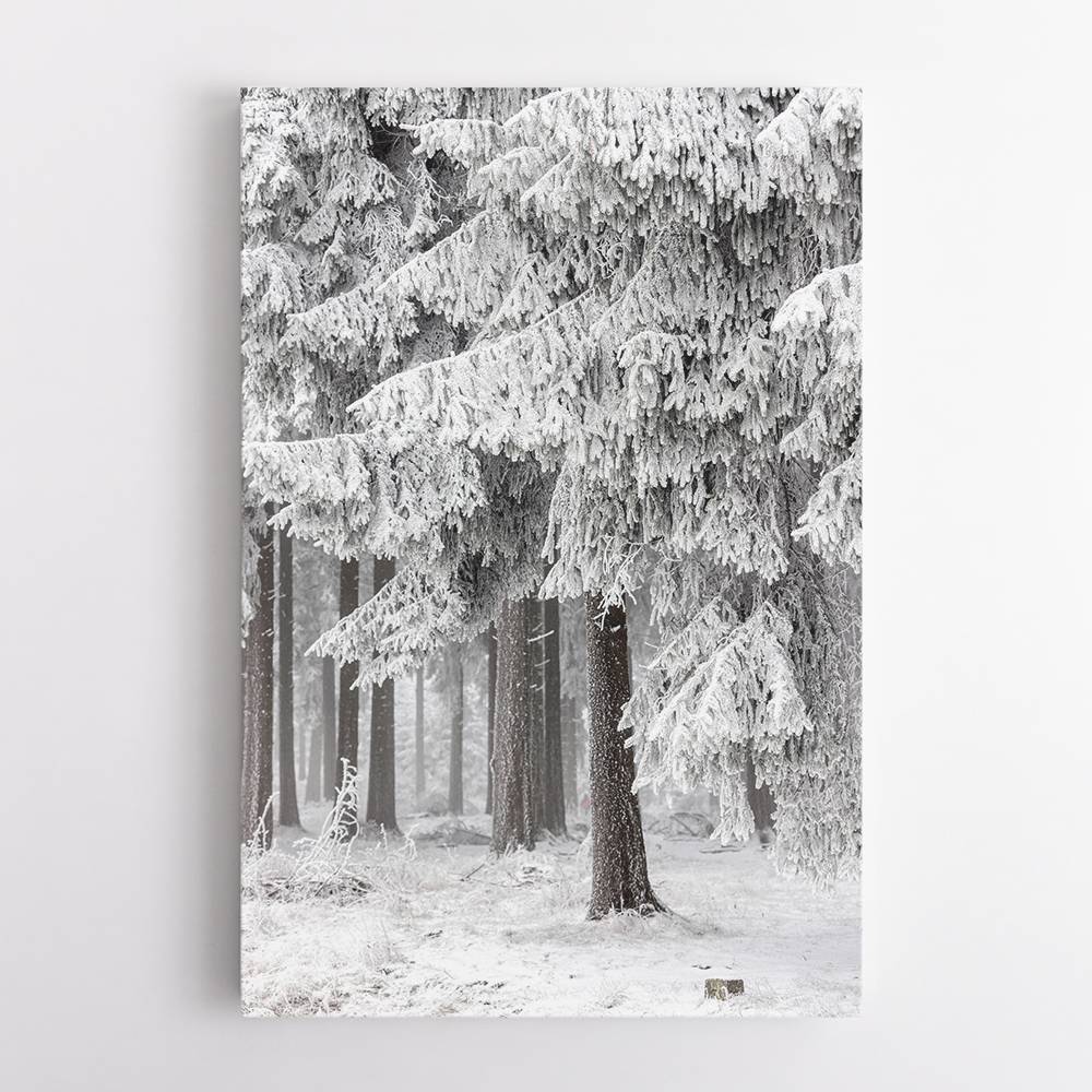 Winter Forest 2 Wall Art