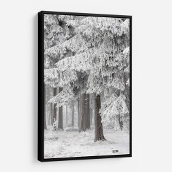 Winter Forest 2 Wall Art