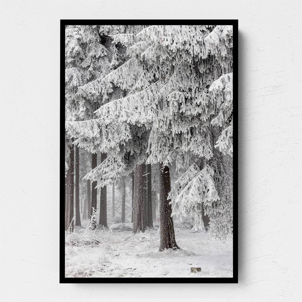 Winter Forest 2 Wall Art