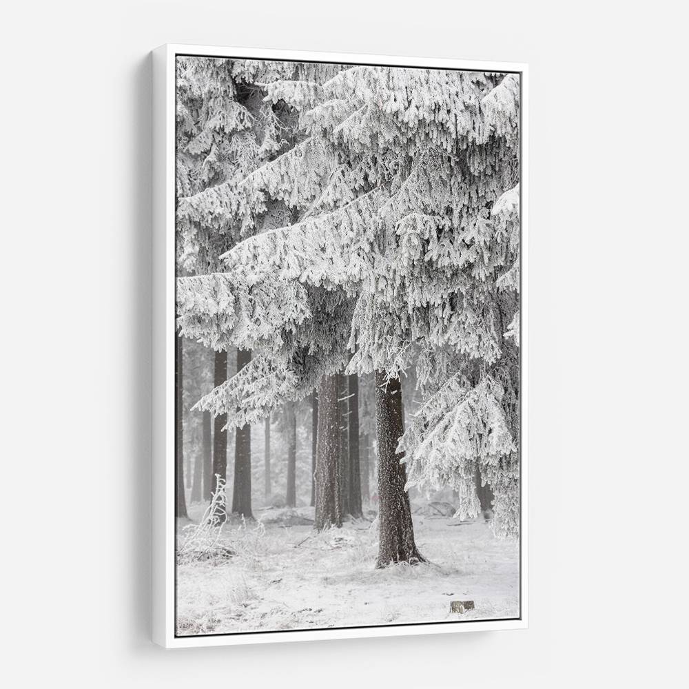 Winter Forest 2 Wall Art