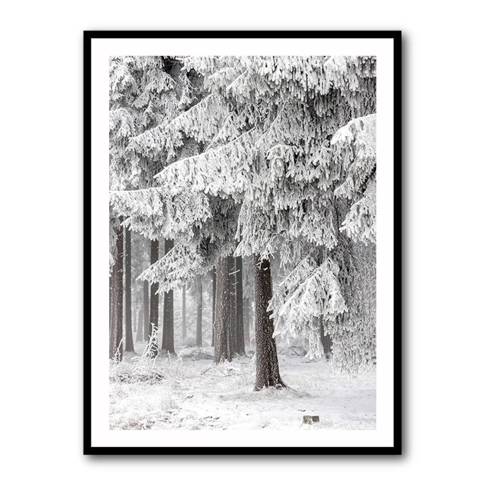 Winter Forest 2 Wall Art