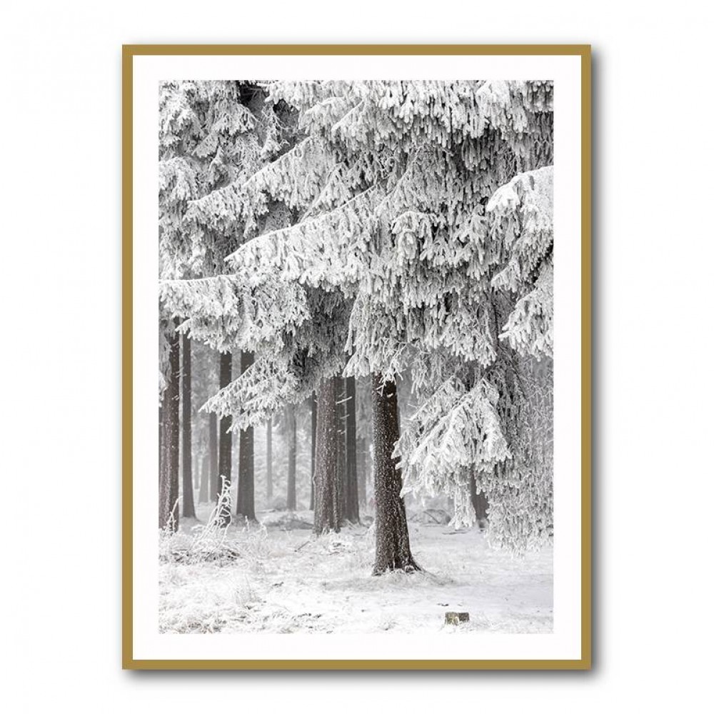 Winter Forest 2 Wall Art