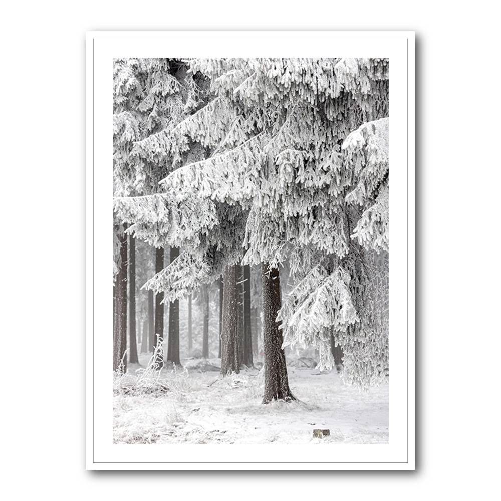 Winter Forest 2 Wall Art