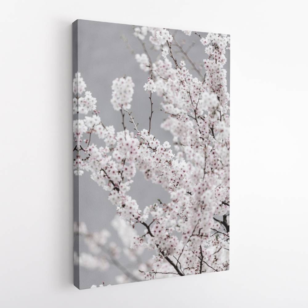 Colorful Spring 6 Wall Art