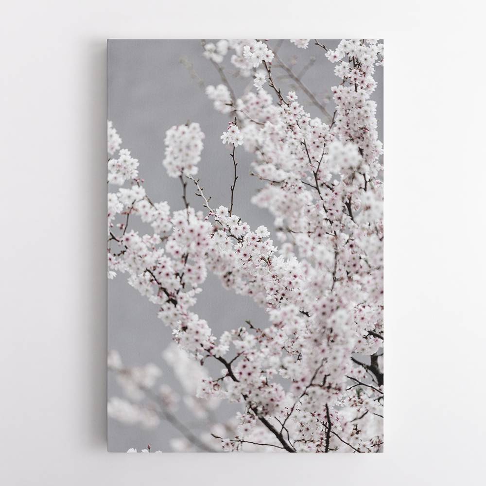 Colorful Spring 6 Wall Art