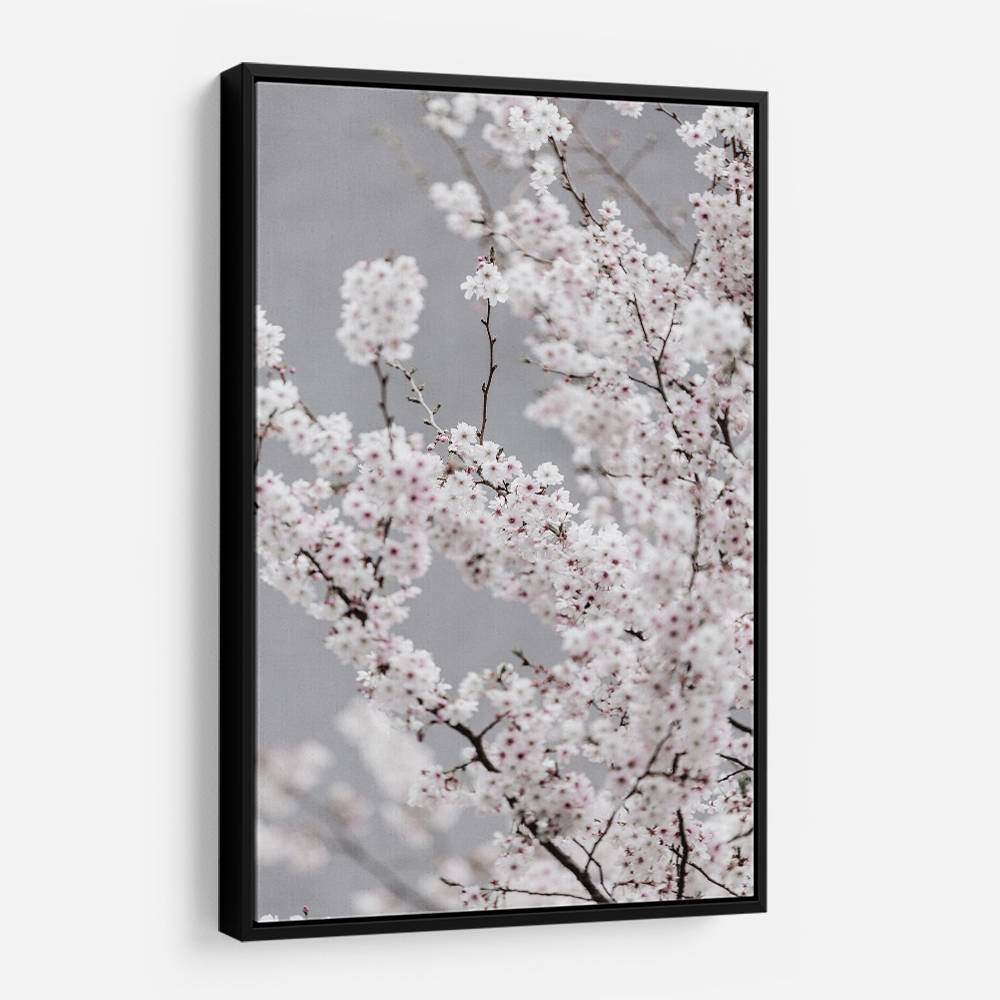 Colorful Spring 6 Wall Art