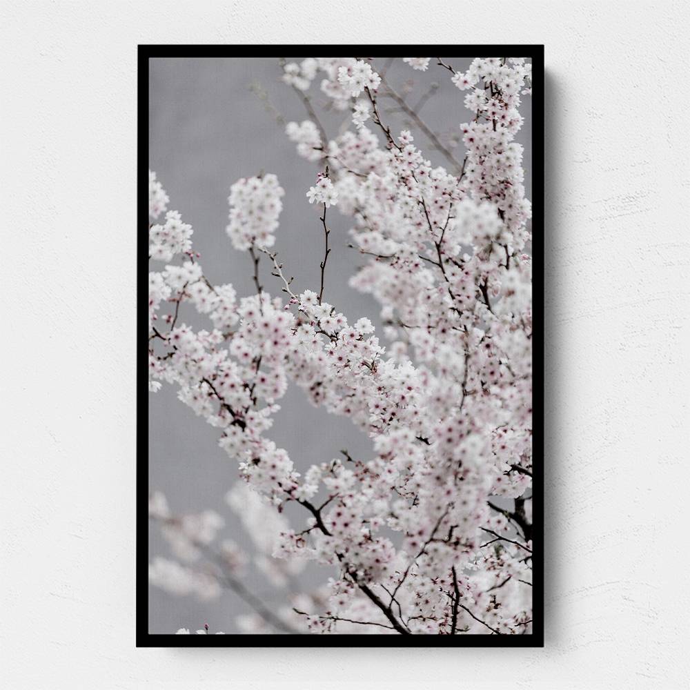 Colorful Spring 6 Wall Art