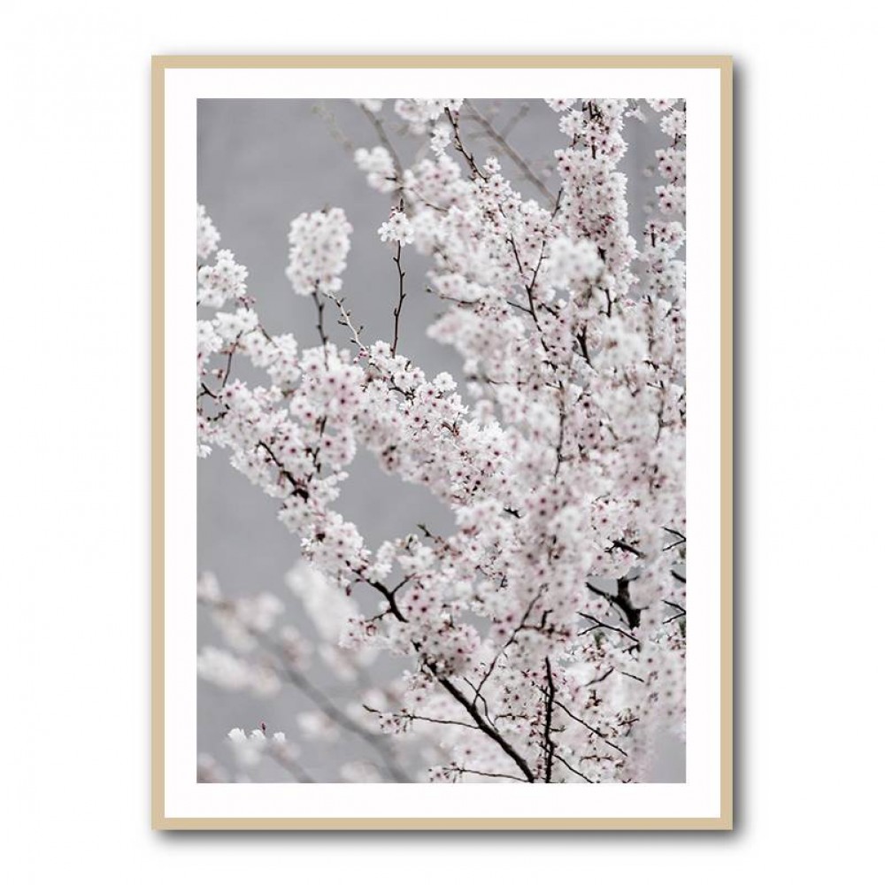 Colorful Spring 6 Wall Art