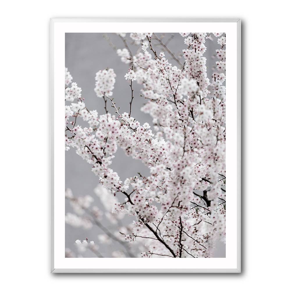 Colorful Spring 6 Wall Art