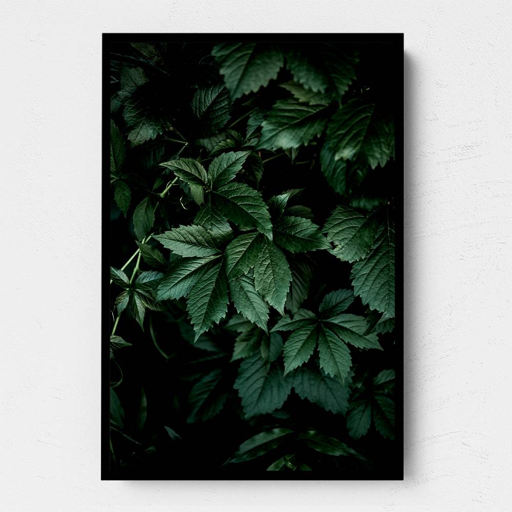 Dark Leaves 13 Wall Art