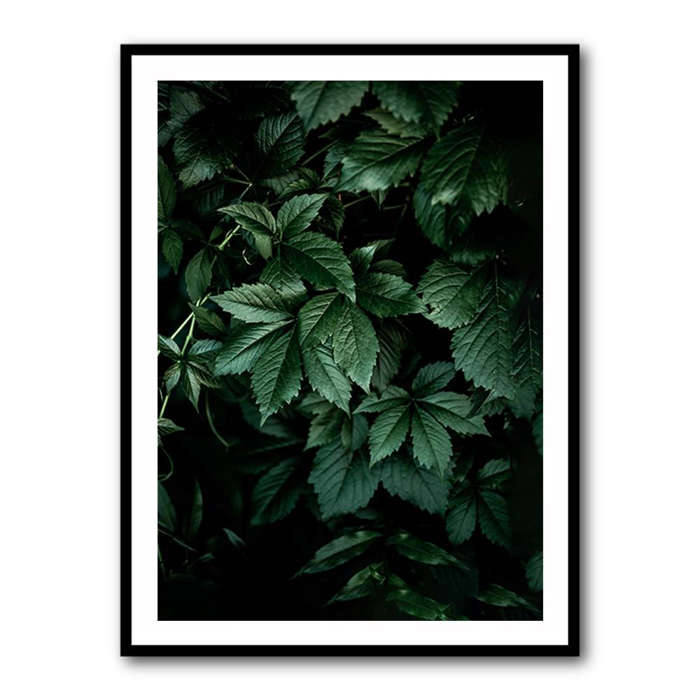 Dark Leaves 13 Wall Art