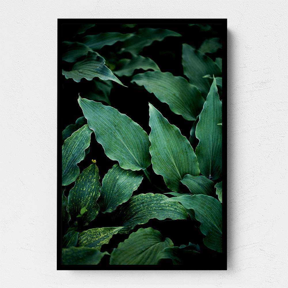 Dark Leaves 15 Wall Art