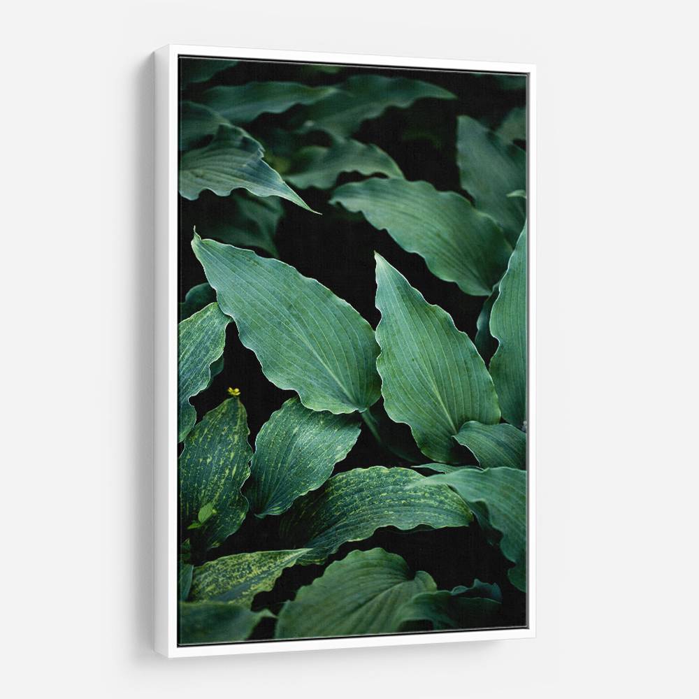 Dark Leaves 15 Wall Art