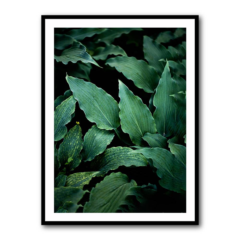 Dark Leaves 15 Wall Art