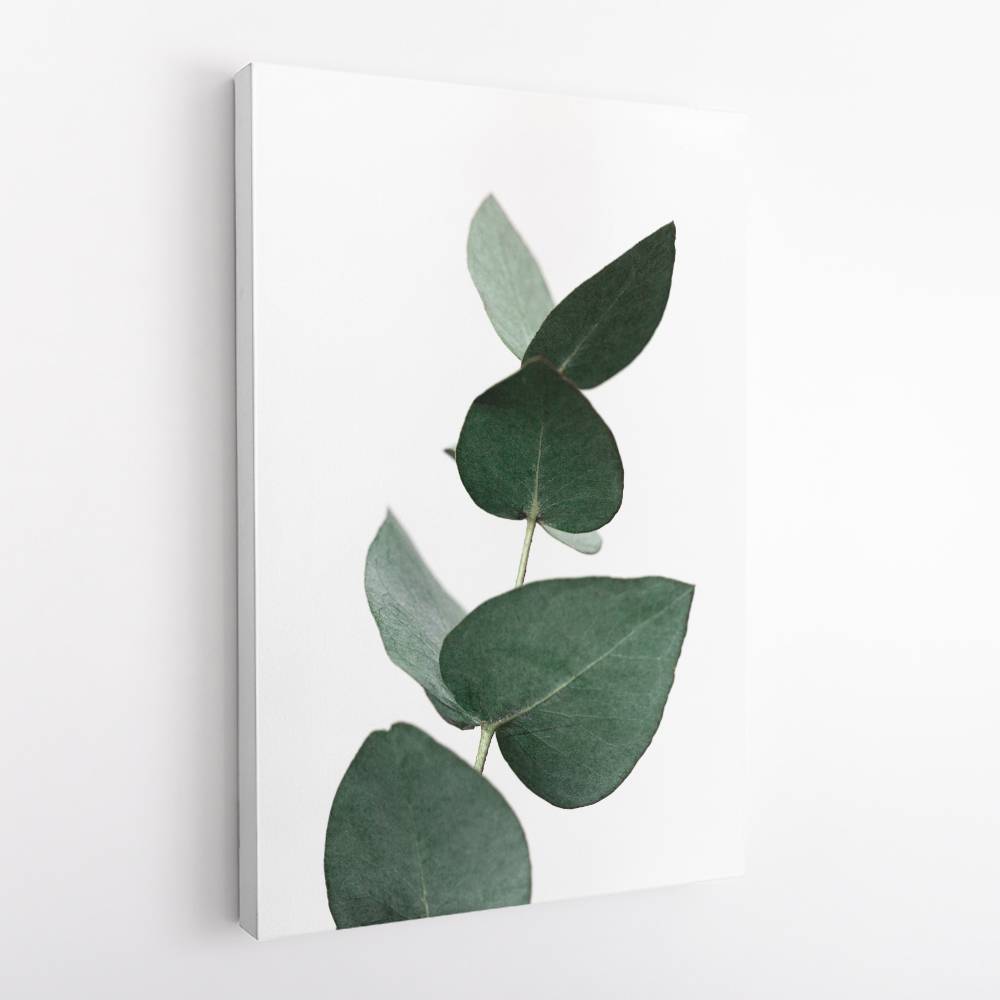 Eucalyptus 4 A1 Wall Art