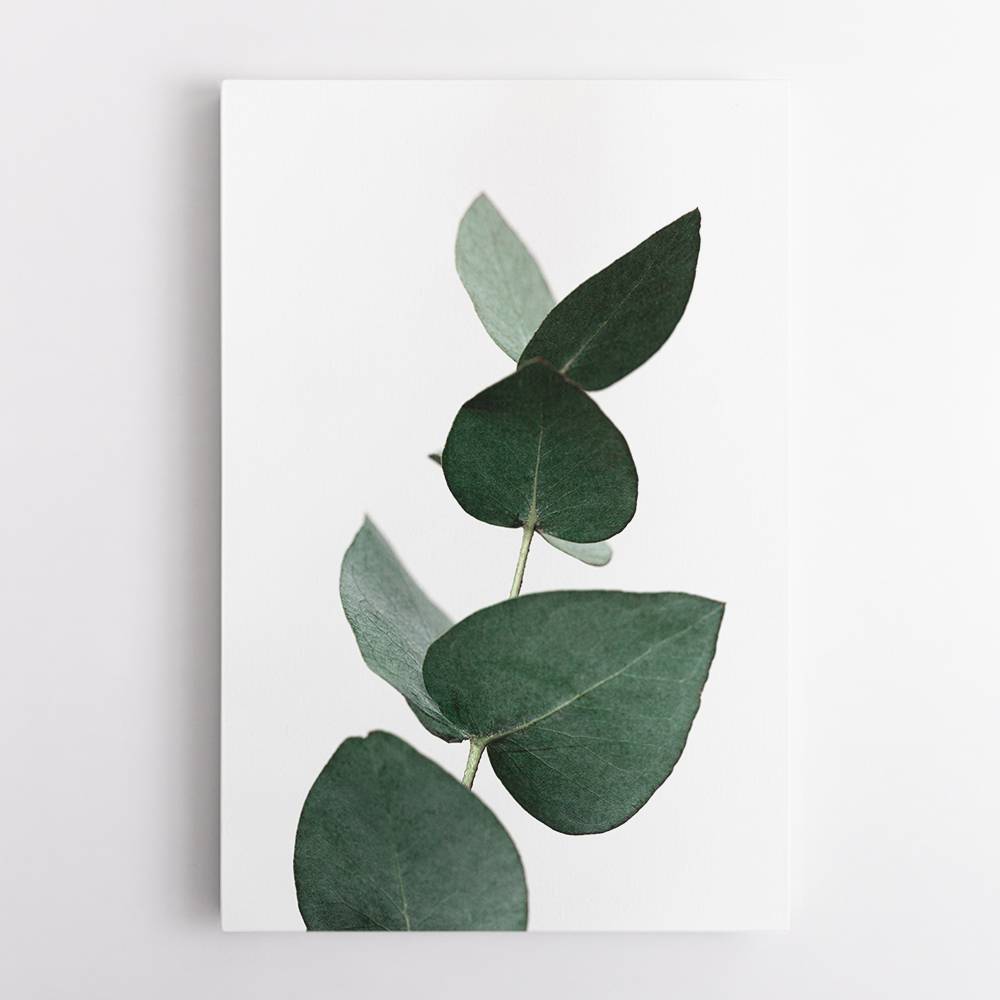 Eucalyptus 4 A1 Wall Art