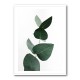 Eucalyptus 4 A1 Wall Art