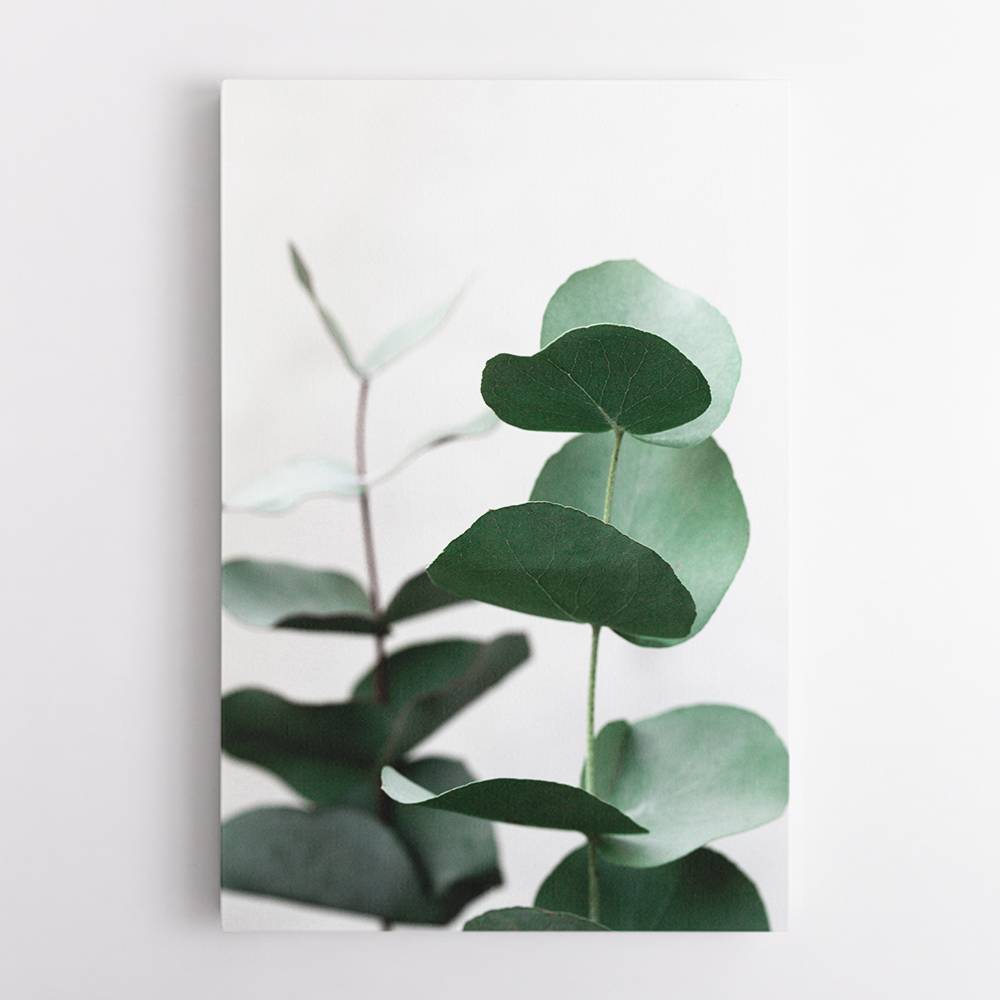 Eucalyptus 5 A1 Wall Art