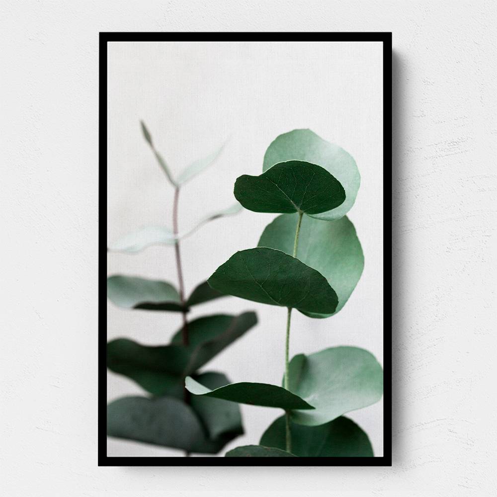 Eucalyptus 5 A1 Wall Art