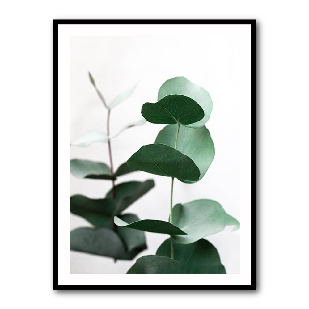 Eucalyptus 5 A1 Wall Art