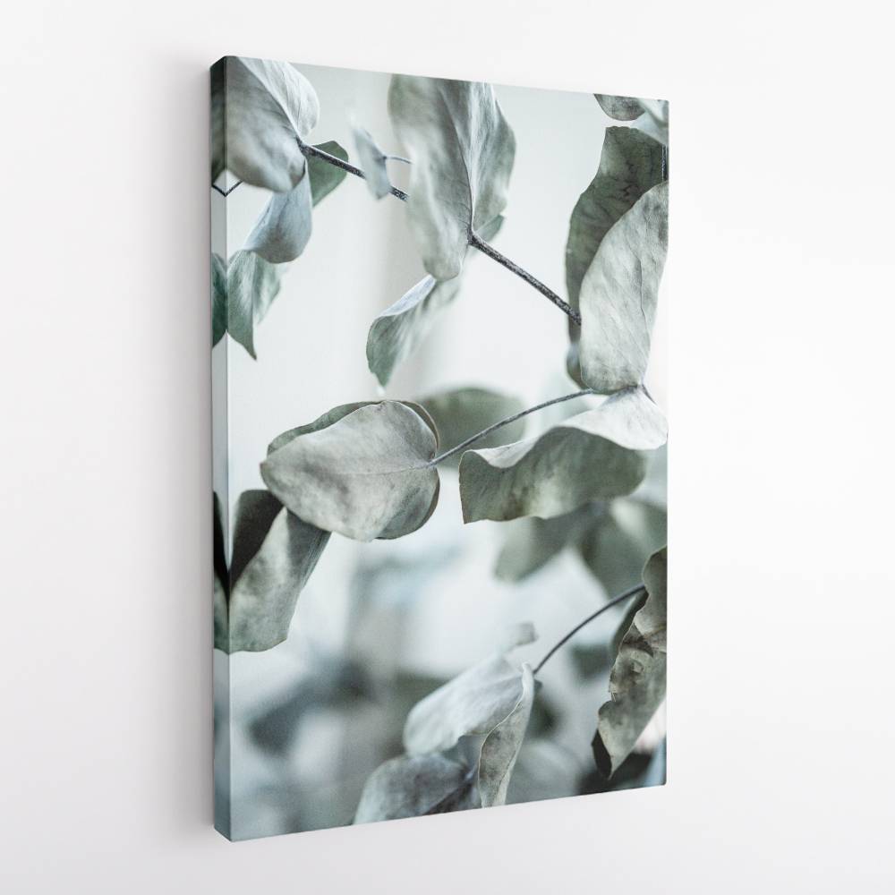 Eucalyptus 8 Wall Art