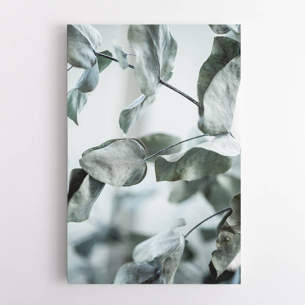 Eucalyptus 8 Wall Art