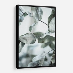 Eucalyptus 8 Wall Art