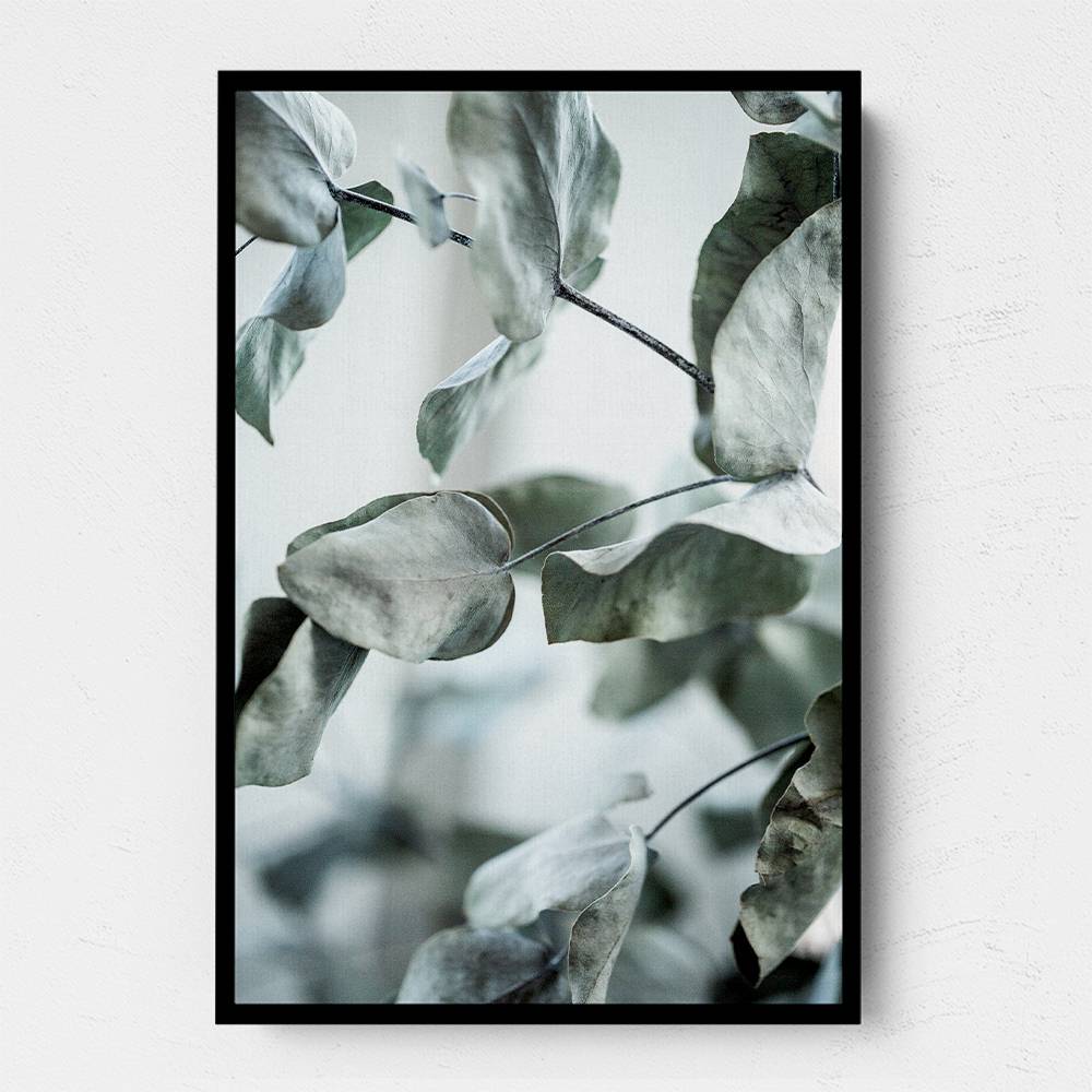 Eucalyptus 8 Wall Art