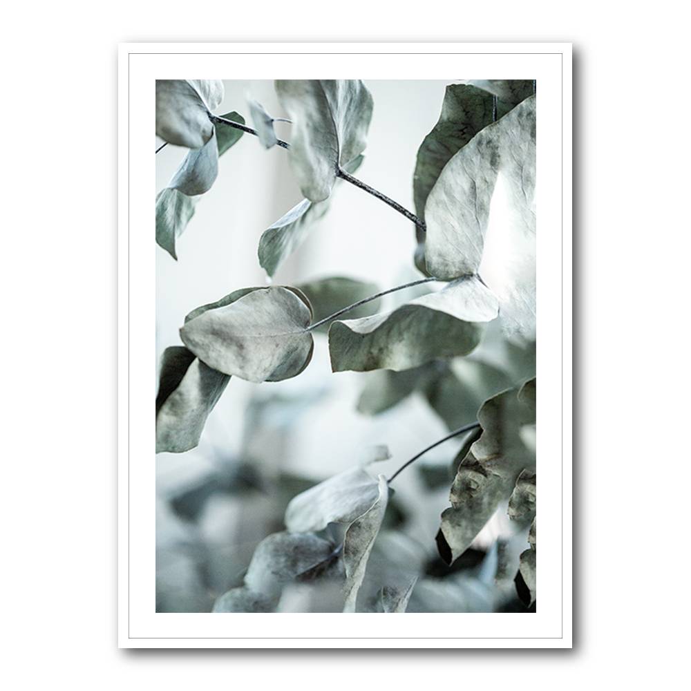 Eucalyptus 8 Wall Art