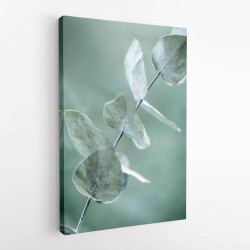 Eucalyptus 9 Wall Art