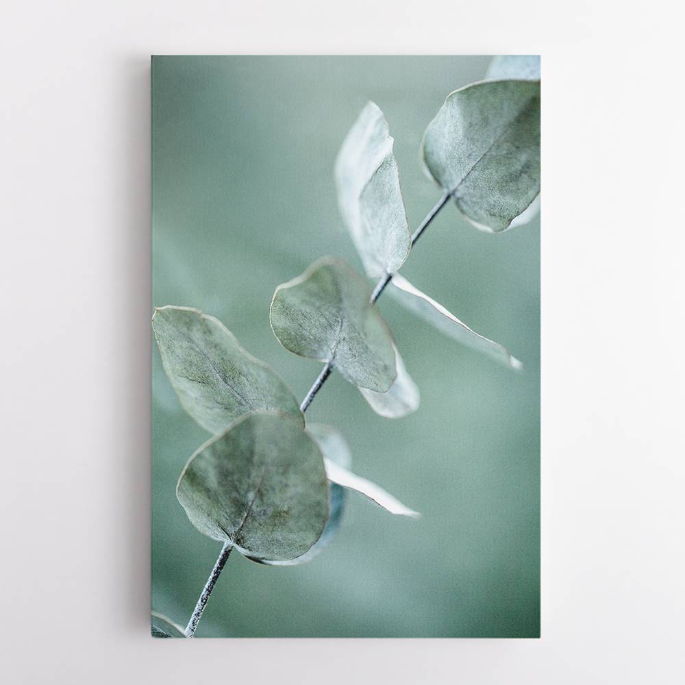 Eucalyptus 9 Wall Art