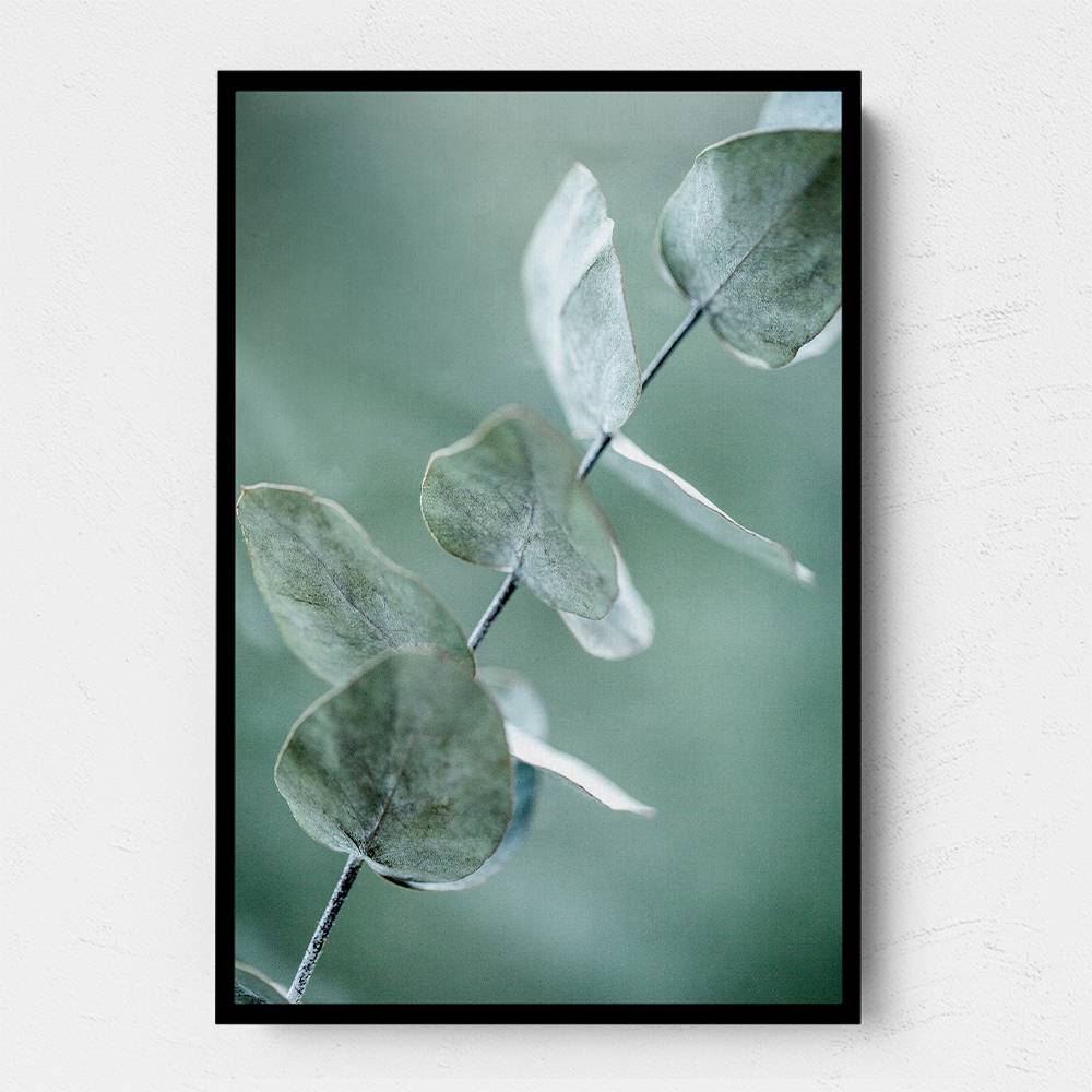 Eucalyptus 9 Wall Art